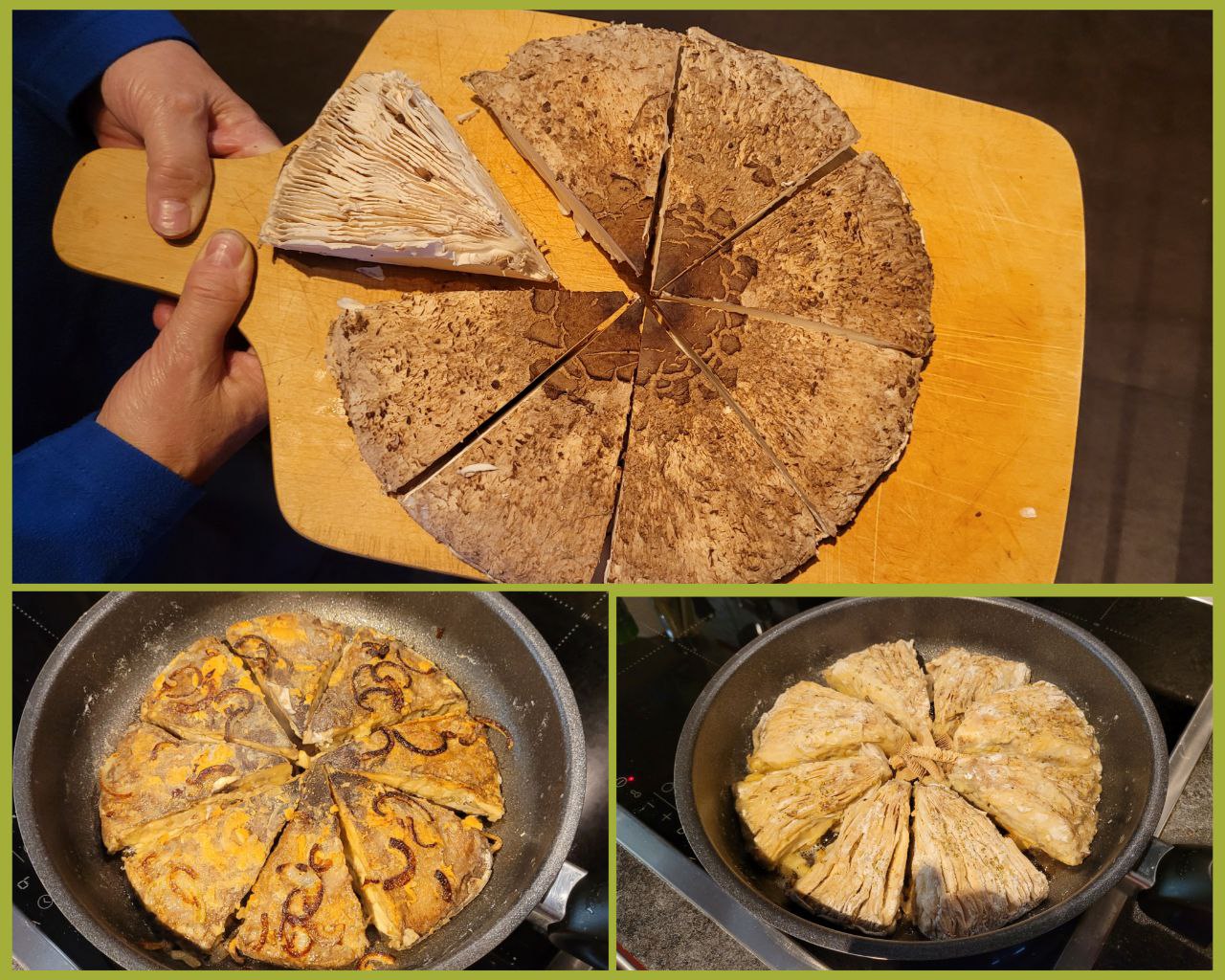 Pilzwanderung 2025 Parasol