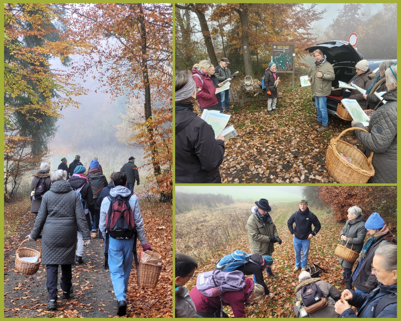 Pilzwanderung 2025 Einfuehrung