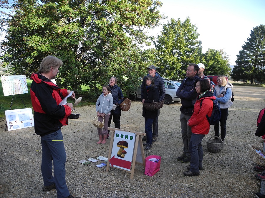 Pilzwanderung 2023 Bad Schwalbach